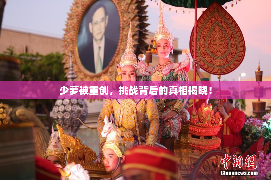 少萝被重创，挑战背后的真相揭晓！