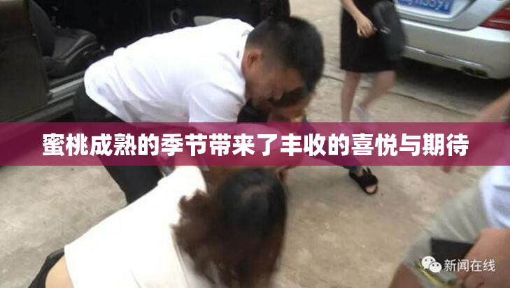 蜜桃成熟的季节带来了丰收的喜悦与期待