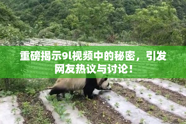 重磅揭示9l视频中的秘密，引发网友热议与讨论！