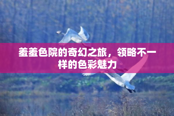羞羞色院的奇幻之旅，领略不一样的色彩魅力
