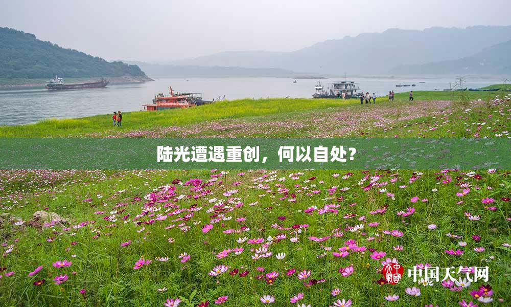 陆光遭遇重创，何以自处？