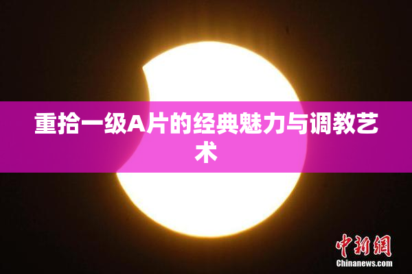 重拾一级A片的经典魅力与调教艺术