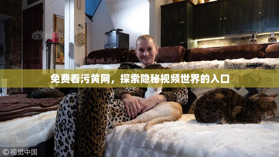 免费看污黄网，探索隐秘视频世界的入口