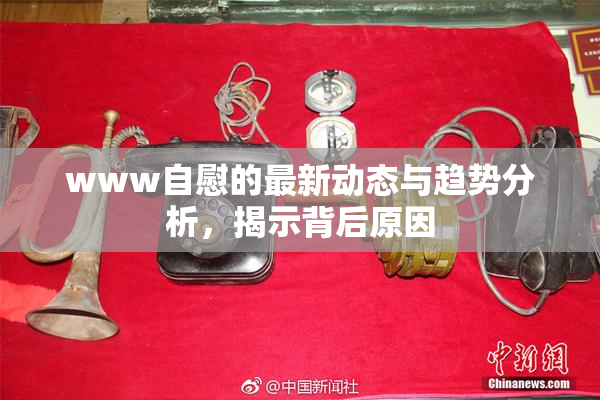 www自慰的最新动态与趋势分析，揭示背后原因