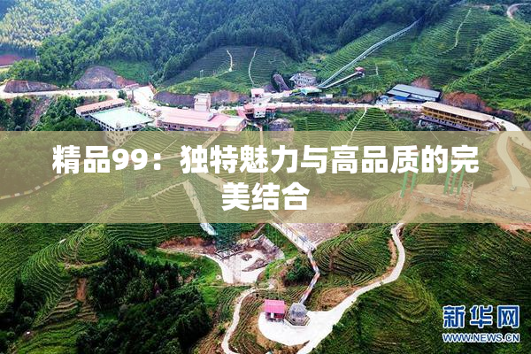 精品99：独特魅力与高品质的完美结合