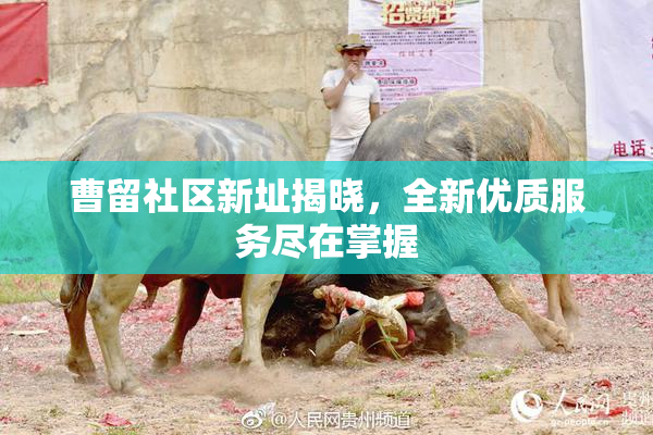 曹留社区新址揭晓，全新优质服务尽在掌握