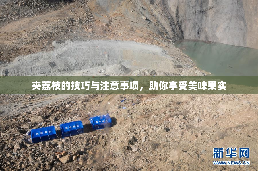 夹荔枝的技巧与注意事项，助你享受美味果实