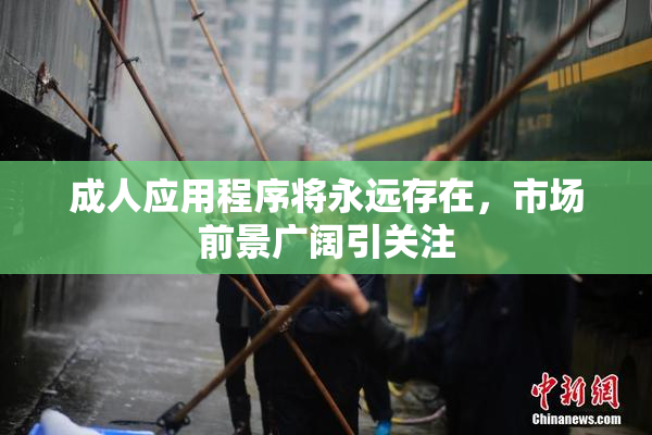成人应用程序将永远存在，市场前景广阔引关注