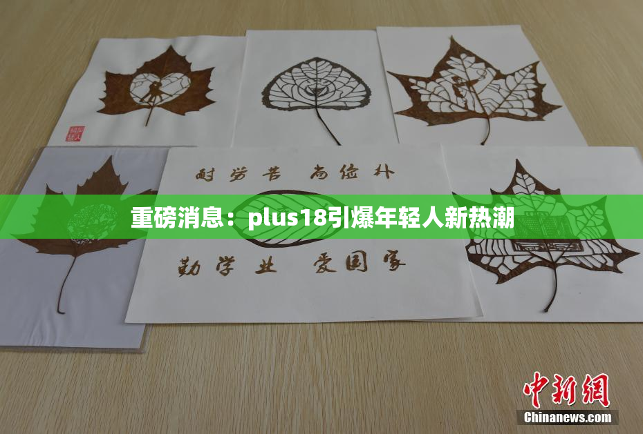 重磅消息：plus18引爆年轻人新热潮