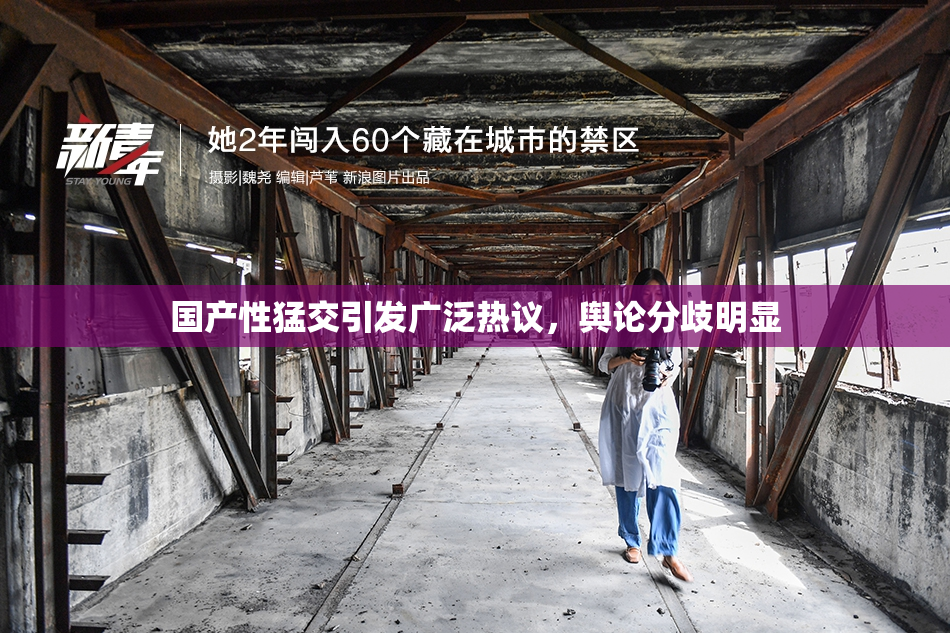 国产性猛交引发广泛热议，舆论分歧明显