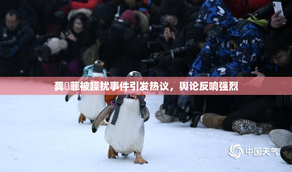 龚玥菲被躁扰事件引发热议，舆论反响强烈