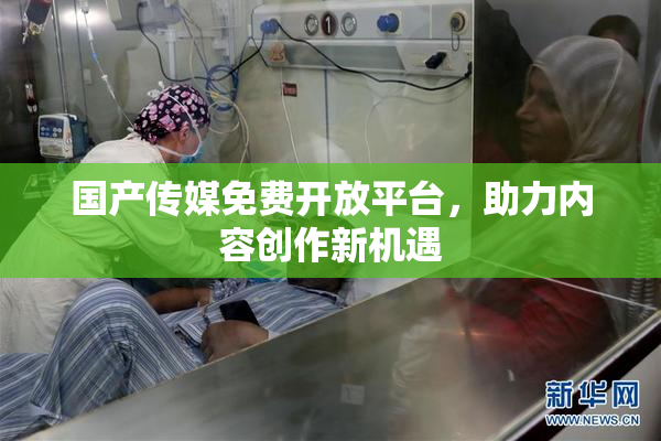 国产传媒免费开放平台，助力内容创作新机遇