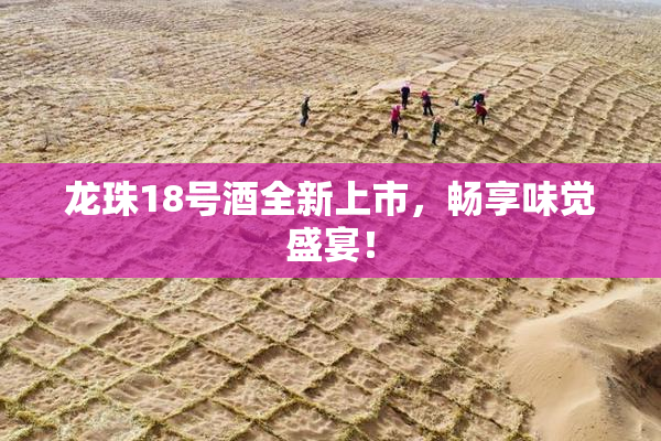 龙珠18号酒全新上市，畅享味觉盛宴！