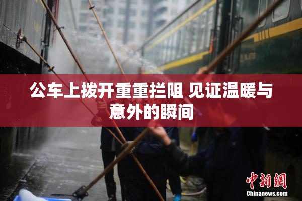 公车上拨开重重拦阻 见证温暖与意外的瞬间