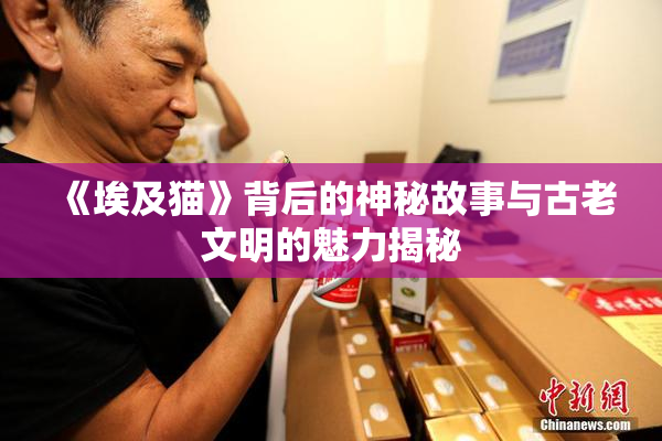 《埃及猫》背后的神秘故事与古老文明的魅力揭秘