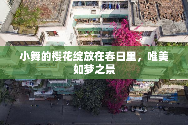 小舞的樱花绽放在春日里，唯美如梦之景