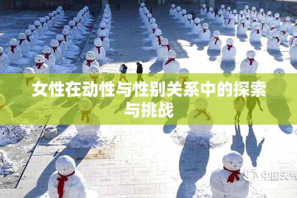 女性在动性与性别关系中的探索与挑战