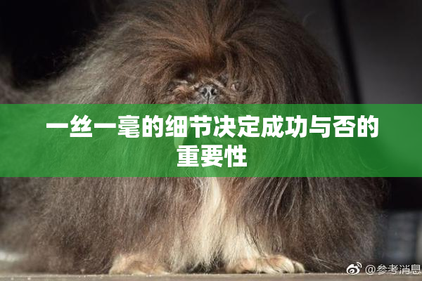 一丝一毫的细节决定成功与否的重要性
