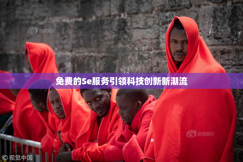 免费的Se服务引领科技创新新潮流
