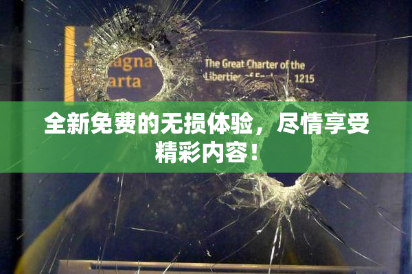 全新免费的无损体验，尽情享受精彩内容！
