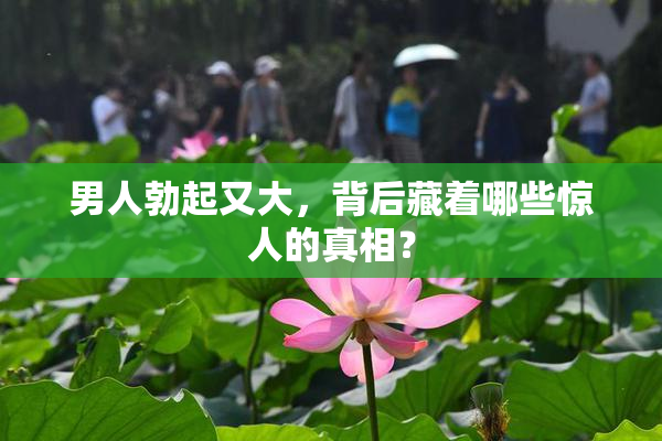 男人勃起又大，背后藏着哪些惊人的真相？