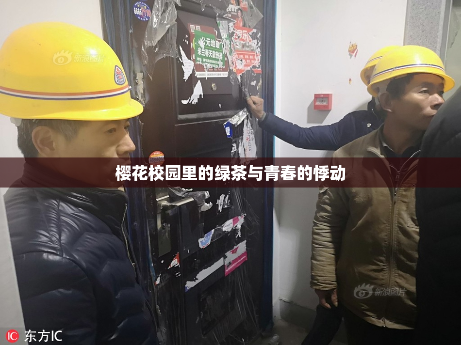 樱花校园里的绿茶与青春的悸动
