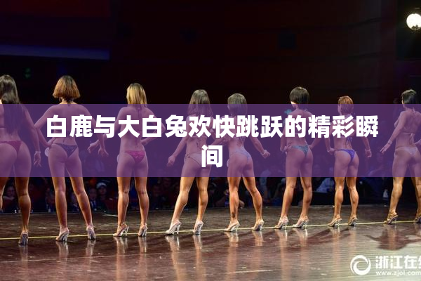 白鹿与大白兔欢快跳跃的精彩瞬间