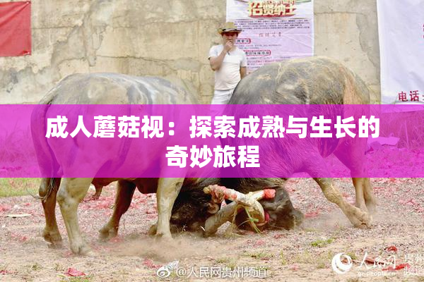 成人蘑菇视：探索成熟与生长的奇妙旅程
