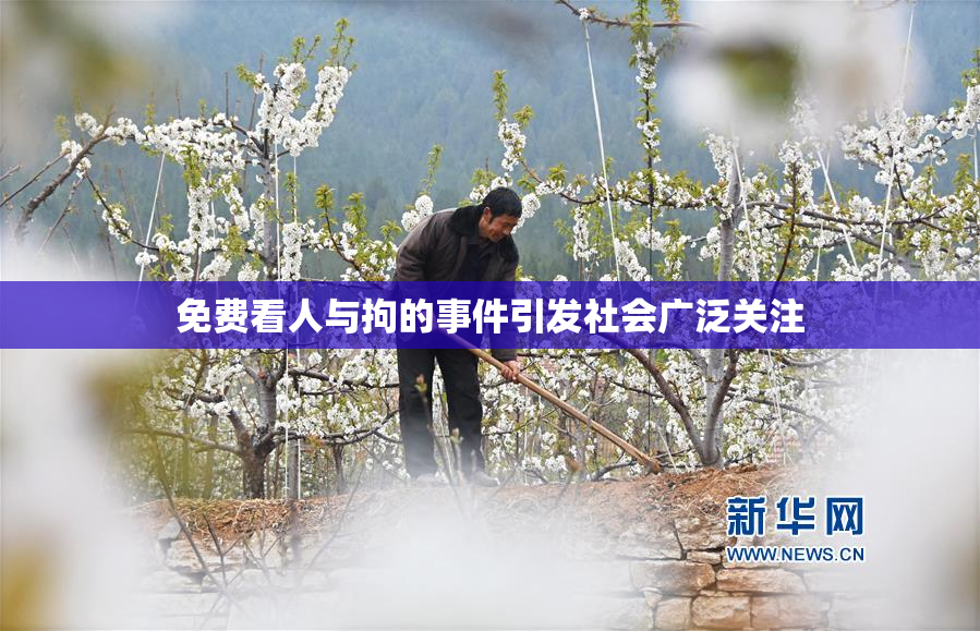 免费看人与拘的事件引发社会广泛关注