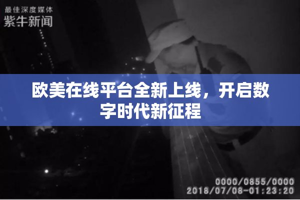欧美在线平台全新上线，开启数字时代新征程