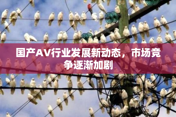 国产AV行业发展新动态，市场竞争逐渐加剧