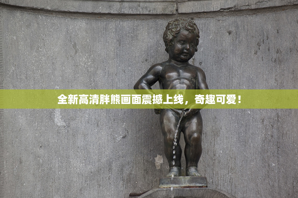 全新高清胖熊画面震撼上线，奇趣可爱！