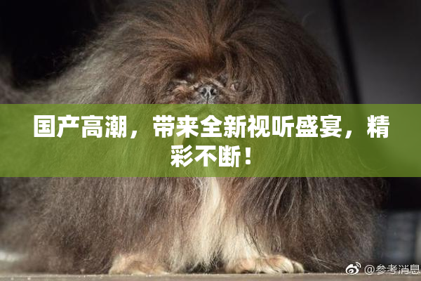 国产高潮，带来全新视听盛宴，精彩不断！