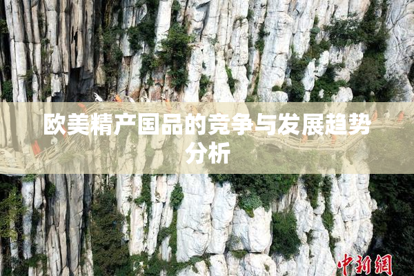 欧美精产国品的竞争与发展趋势分析