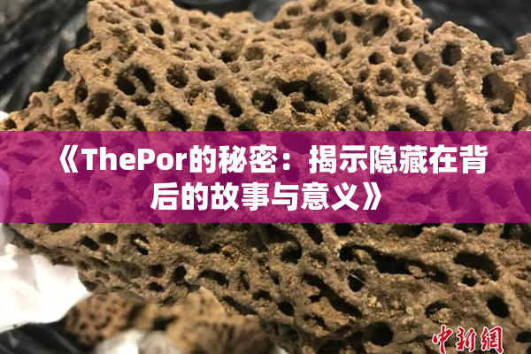 《ThePor的秘密：揭示隐藏在背后的故事与意义》