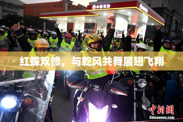 红蝶双修，与乾风共舞展翅飞翔