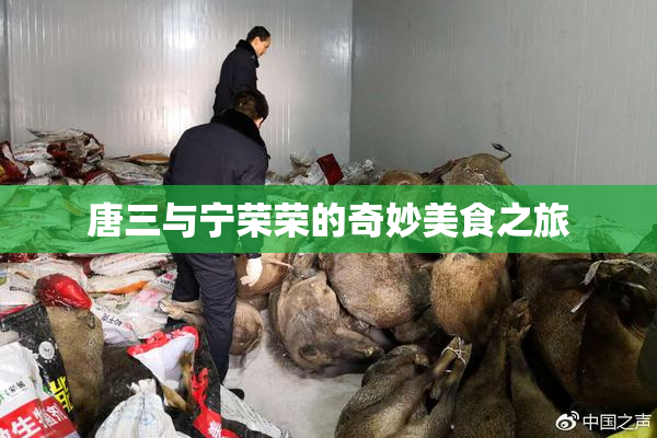 唐三与宁荣荣的奇妙美食之旅