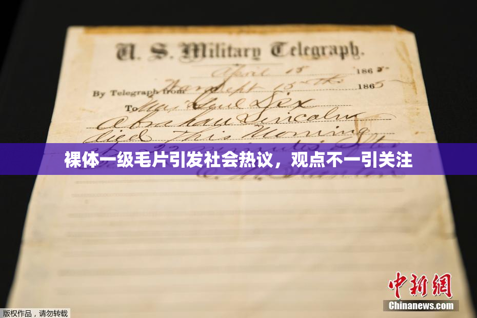 裸体一级毛片引发社会热议，观点不一引关注