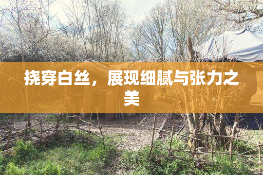 挠穿白丝，展现细腻与张力之美