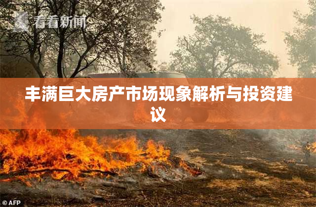 丰满巨大房产市场现象解析与投资建议