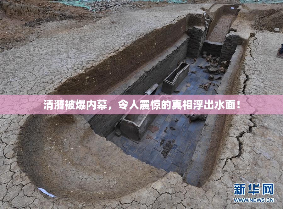 清漪被爆内幕，令人震惊的真相浮出水面！