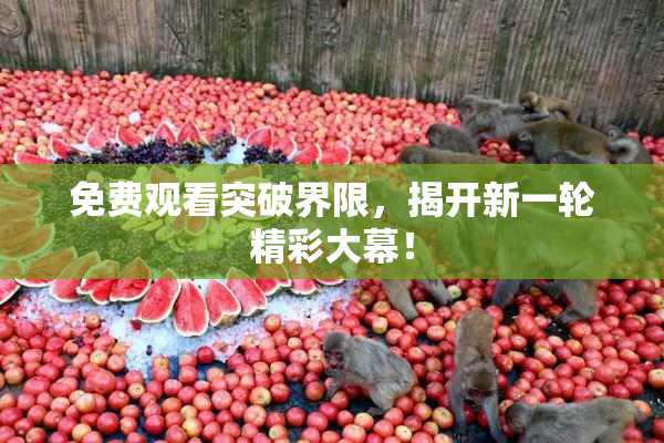 免费观看突破界限，揭开新一轮精彩大幕！