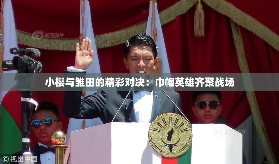小樱与雏田的精彩对决：巾帼英雄齐聚战场