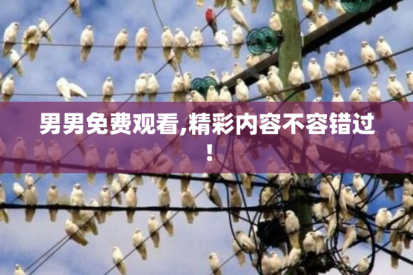 男男免费观看,精彩内容不容错过！