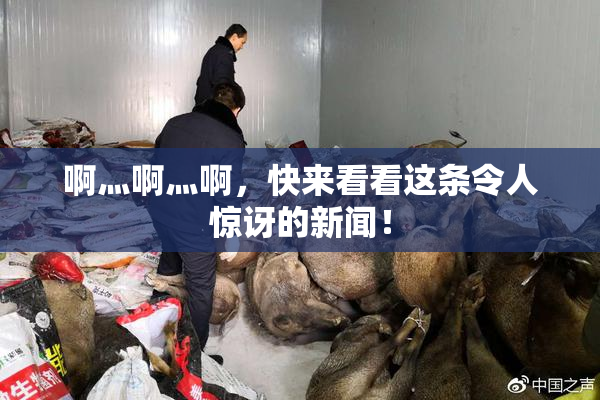 啊灬啊灬啊，快来看看这条令人惊讶的新闻！