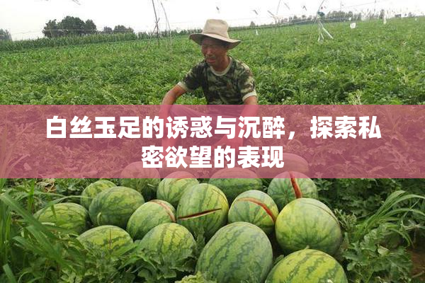 白丝玉足的诱惑与沉醉，探索私密欲望的表现