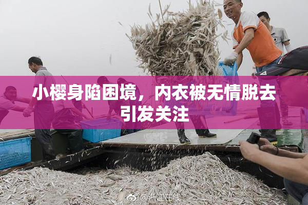 小樱身陷困境，内衣被无情脱去引发关注