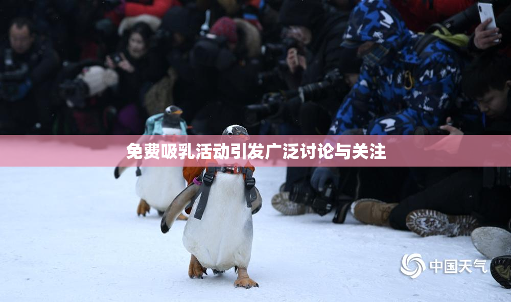 免费吸乳活动引发广泛讨论与关注