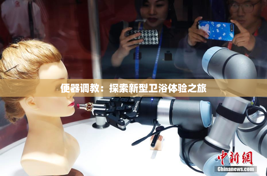 便器调教：探索新型卫浴体验之旅