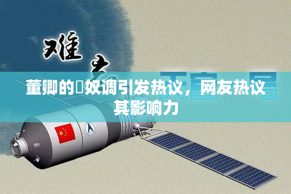 董卿的婬奴调引发热议，网友热议其影响力